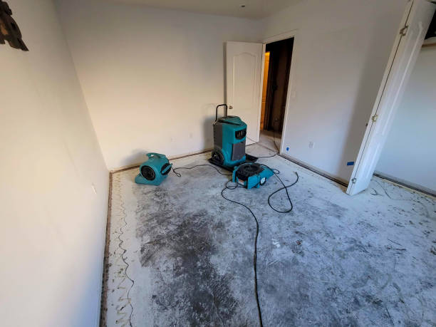 Best Basement water damage restoration  in Newport, AR