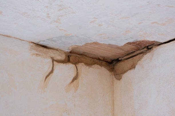 Best Water damage cleanup near me  in Newport, AR