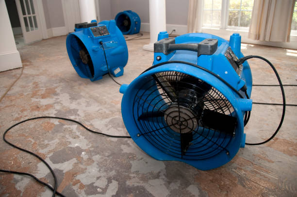 Best Carpet water damage restoration  in Newport, AR