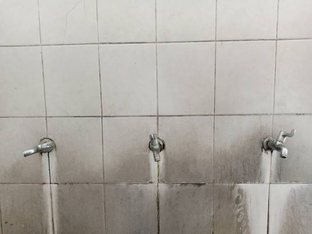 Best 24/7 water damage repair  in Newport, AR