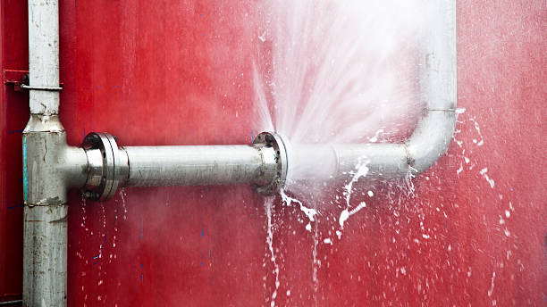 Best Basement water damage restoration  in Newport, AR