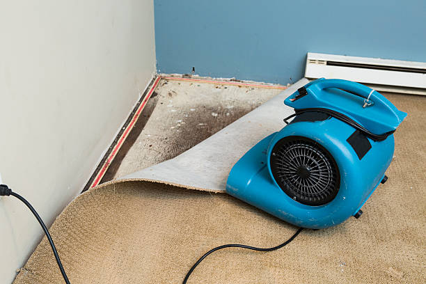 Best Fire Damage Restoration  in Newport, AR